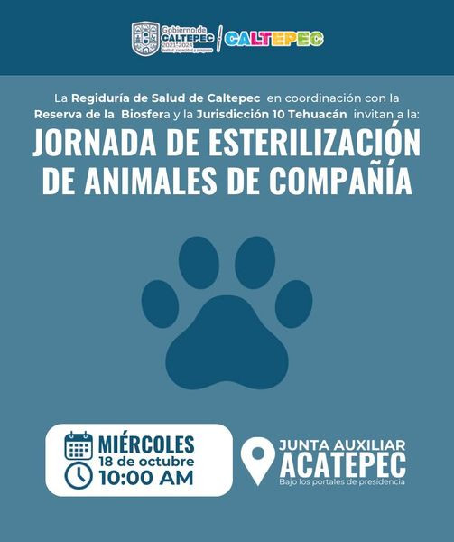 Jornada de esterilización de mascotas en la Junta Auxiliar de Acatepec mañana miércoles 18 de octubre, a partir de las 10:00 am, bajo los portales de presidencia